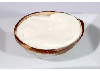 Ds17 coco givre