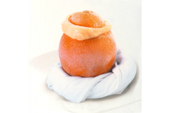 Ds19 orange givre A LA CARTE